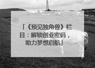 《预见独角兽》栏目：解锁创业密码，助力梦想启航